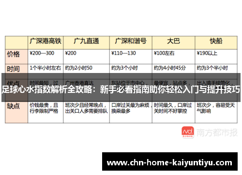 足球心水指数解析全攻略：新手必看指南助你轻松入门与提升技巧