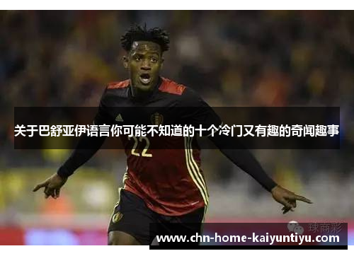 关于巴舒亚伊语言你可能不知道的十个冷门又有趣的奇闻趣事