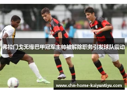 弗拉门戈无缘巴甲冠军主帅被解除职务引发球队震动