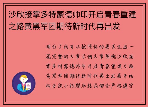 沙欣接掌多特蒙德帅印开启青春重建之路黄黑军团期待新时代再出发